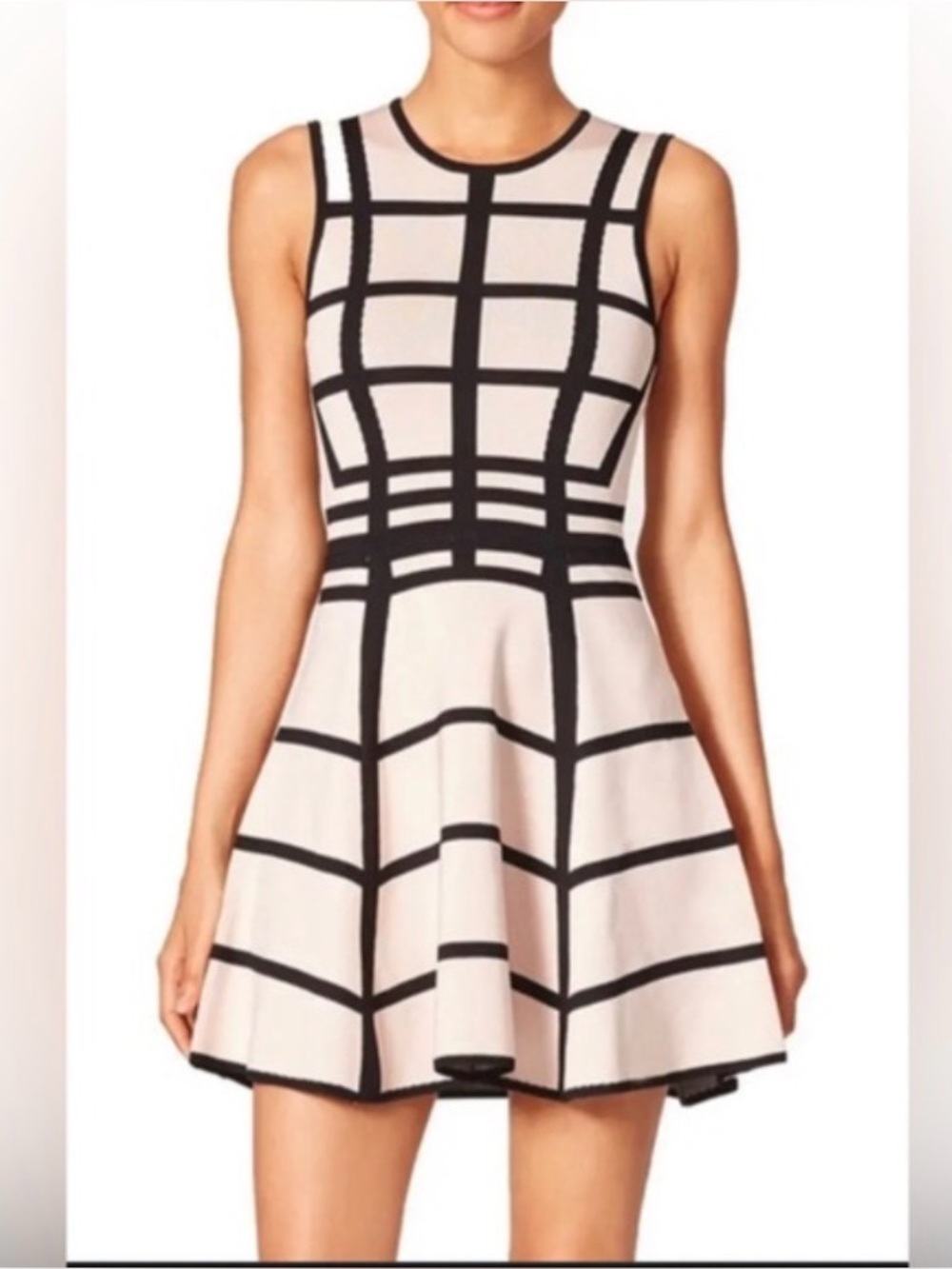 Torn by Ronny Kobo Beige Black Mini Dress Size Small